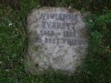 image of grave number 341902